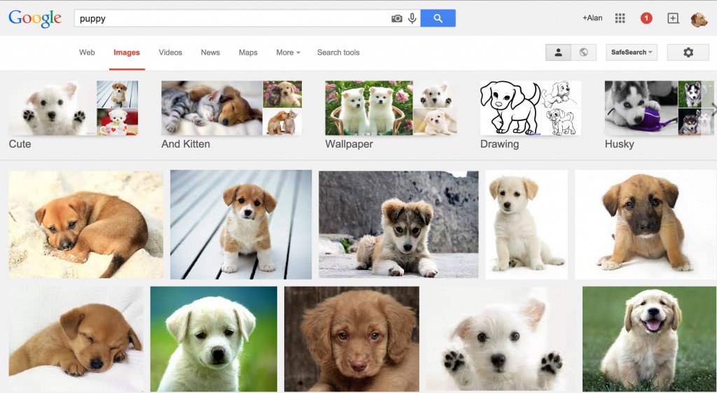 puppy-google