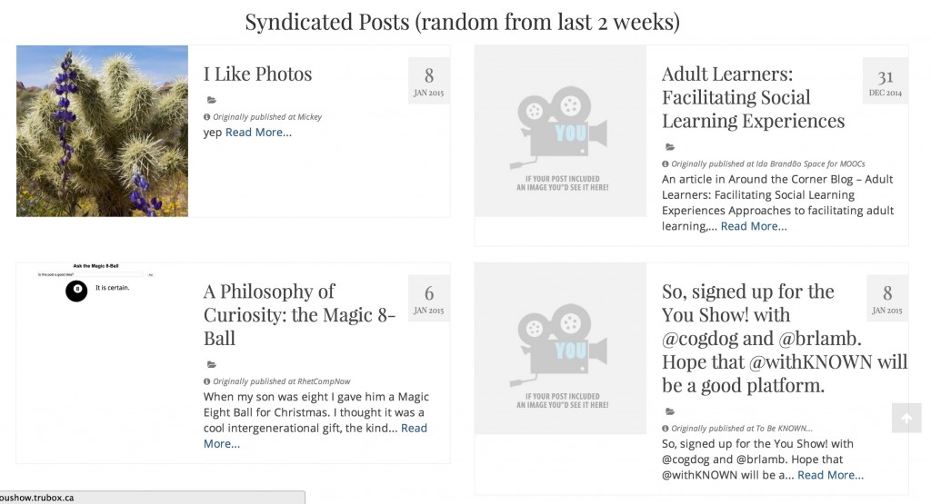 syndicated posts